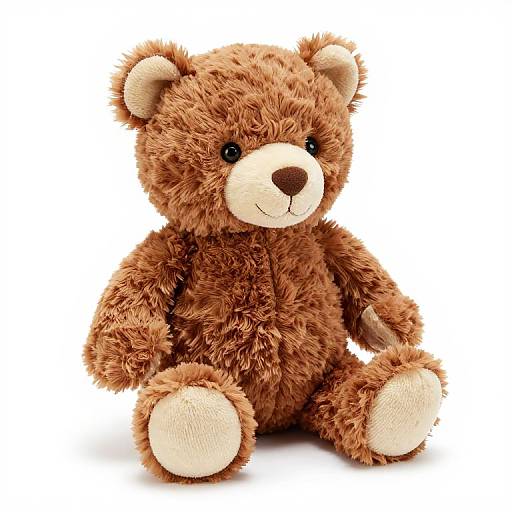 Photograph of a fluffy, brown teddy bear with black eyes, a brown nose, and cream-colored paw pads, sitting against a white background.