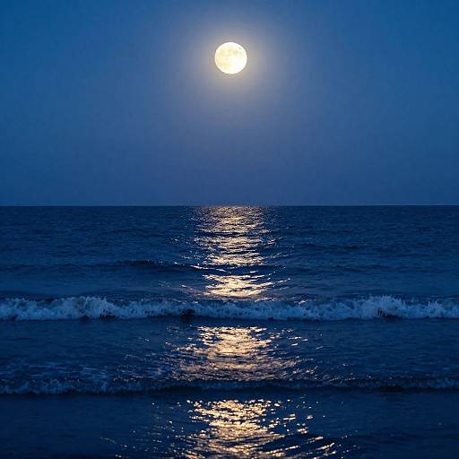 Photograph of a moonlit ocean at night, with a bright full moon illuminating the dark blue water and creating a shimmering reflection on the waves