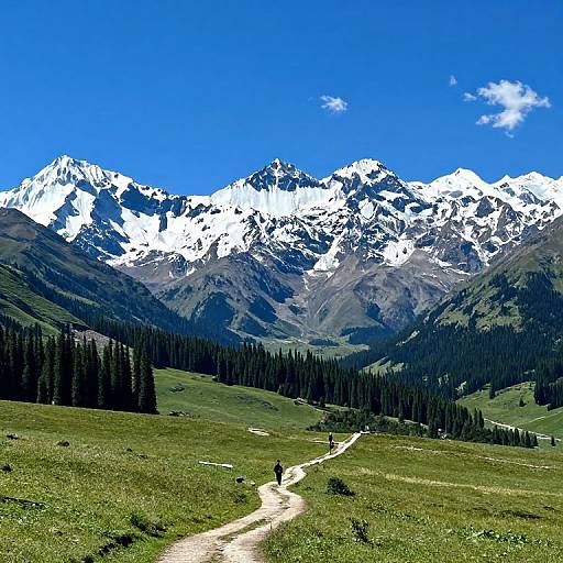 Photograph of a person hiking on a dirt path through a green meadow, leading to snow-capped mountains under a vibrant blue sky. Dense pine