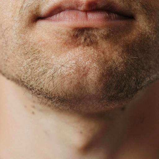 Macro Close-Up of Hairy Body Texture