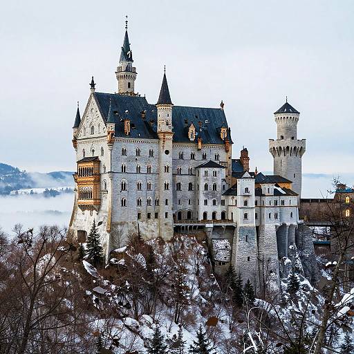 Photograph of a majestic, snow-covered, medieval-style castle with multiple towers, dark roofs, and stone walls, surrounded by winter trees.
