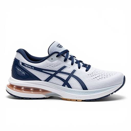 Futuristic TESLA ASICS Running Shoe 2070