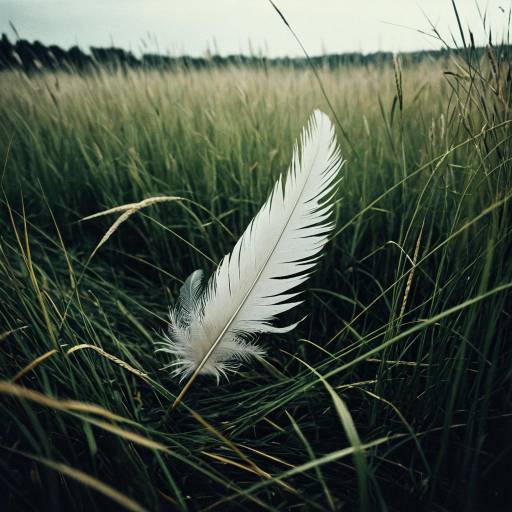 White Feather in Rye Grass Meadow