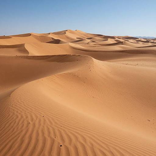 Photograph of a vast, sunlit desert with rippled sand dunes under a clear, bright blue sky. Warm orange sand contrasts with the crisp