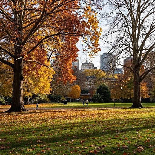 Autumn Colors in St James's Park