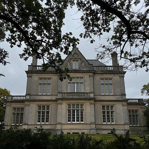 Three-Story Stone Mansion Shrouded by Branches