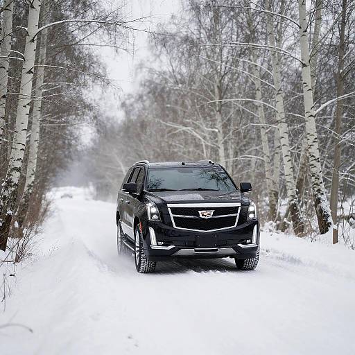 Cadillac Escalade on Snowy Birch Road