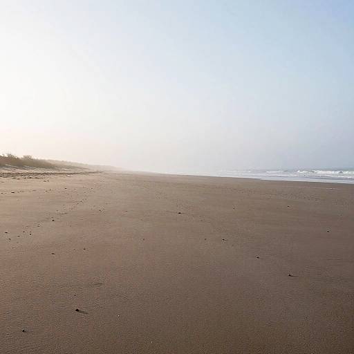 Minimalist Sandy Peninsula at Dawn