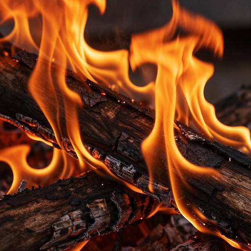 Fiery Close-Up of Charred Wood