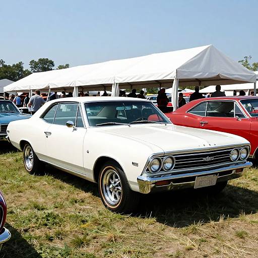 Vintage 1965 Chevrolet Chevelle Photo