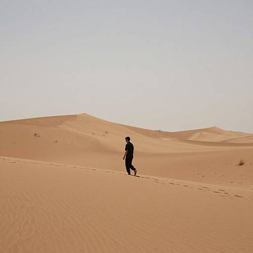 Solitary Figure in Desert Landscape