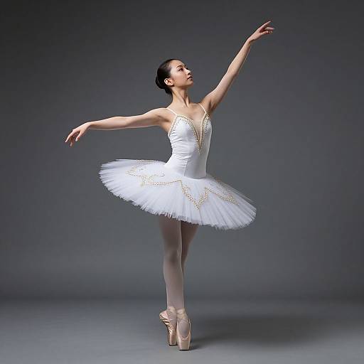 Elegant Modern Ballet Costume Pose