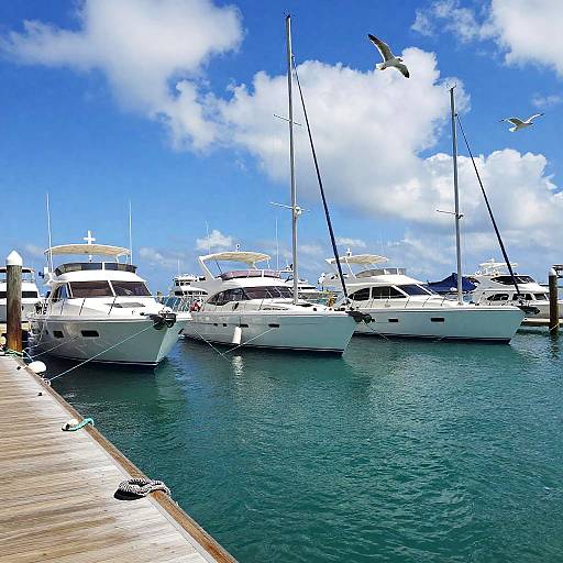 Photograph of a bright blue, sunny marina with five white yachts docked, calm turquoise water, a wooden pier in the foreground, and