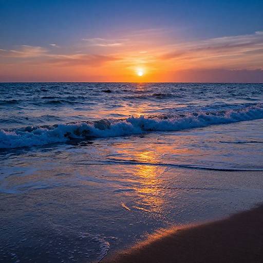 Vibrant Ocean Sunset Marine Life