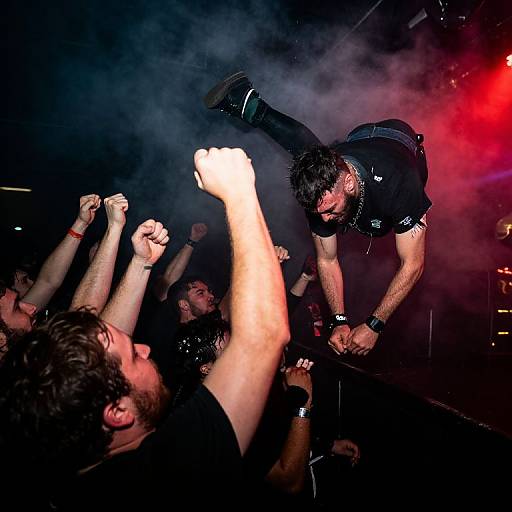 Photograph of a muscular male performer in a black shirt and boots, mid-dive over a crowd of raised hands, surrounded by smoke and red stage