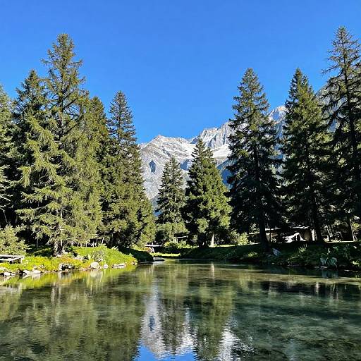 Photograph of a serene mountain lake surrounded by tall evergreen trees, with snow-capped mountains in the bright blue sky background.