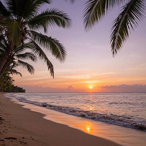 Serene Tropical Beach Sunset