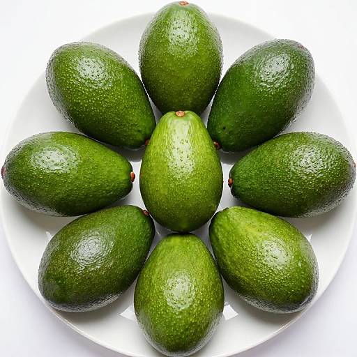 Symmetrical Avocado Circle Display