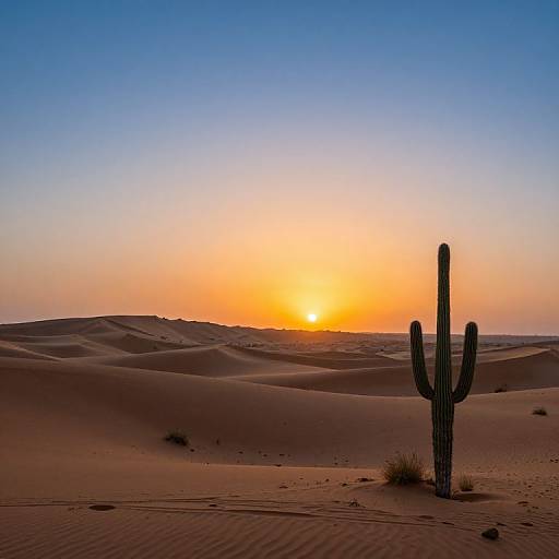 Photograph of a desert sunset, featuring a lone cactus in the foreground, with rolling sand dunes and a vibrant orange-yellow sun. Clear blue