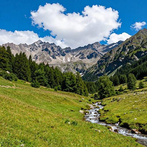 Photograph of a vibrant mountain landscape with a bright blue sky, white clouds, green grassy meadow, clear stream, and dense evergreen forest