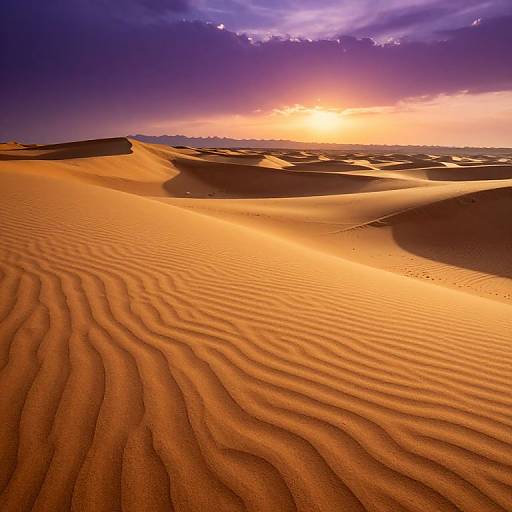 Photograph of a desert sunset, showcasing rippled sand dunes in vibrant orange hues, with a glowing sun and purple sky in the background.