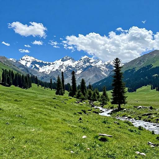Photograph of vibrant green grassy meadow with scattered conifer trees, leading to snow-capped mountain peaks under a bright blue sky with fluffy white