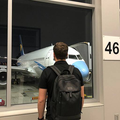 Man Watching Airplane at Airport Gate