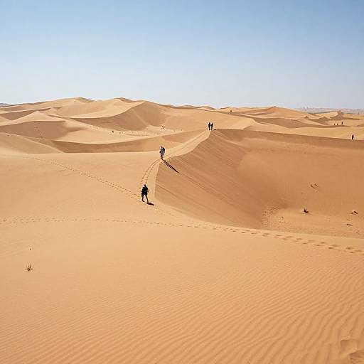 Photograph of a vast, sunlit desert with rippled sand dunes under a clear blue sky. Silhouetted figures walk in the distance