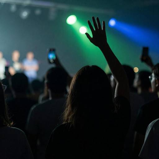 Silhouetted Audience Under Colorful Stage Lights