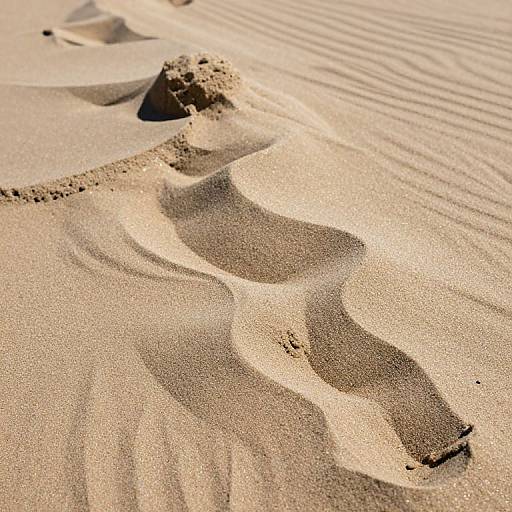 Photograph of sunlit sand dunes with intricate shadows of footprints, creating wavy patterns in the smooth, golden-brown sand.