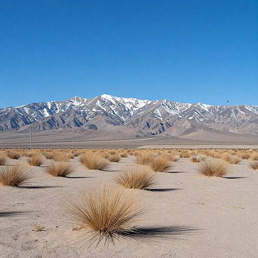 Sunlit Desert with Snow-Capped Peaks