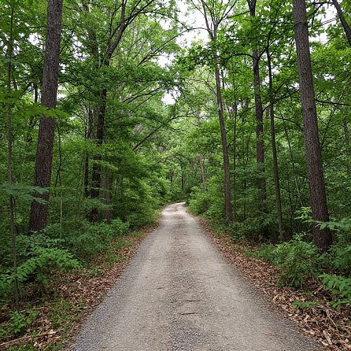 Hoots Hollow Trail Scenic View