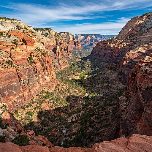 Photograph of a sunlit, rugged canyon with vibrant red and orange cliffs, green shrubs, and a deep, shadowed valley beneath a bright