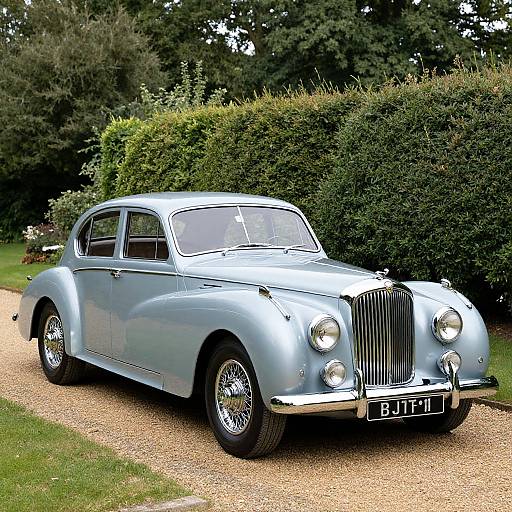 Photograph of a classic, light blue vintage car with chrome details, parked on a gravel path, surrounded by lush green hedges.