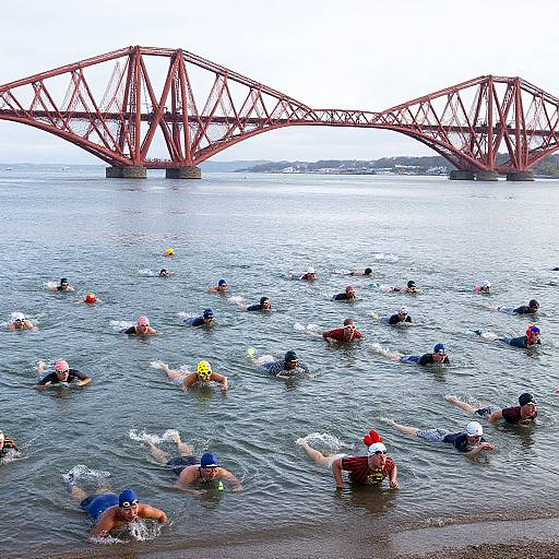 Photograph of a swim race in a river, with a red steel bridge in the background, featuring many swimmers in colorful caps and swimsuits.