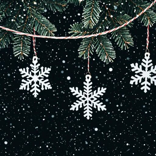 Snowflake Christmas Decorations on Fir Branch