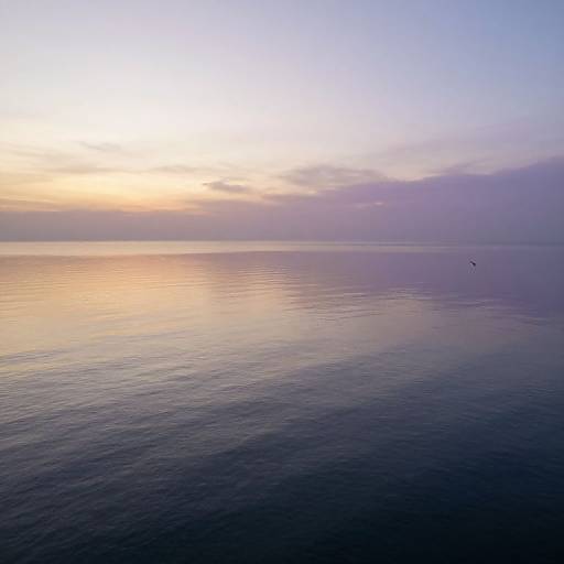 Photograph of a serene ocean at sunset, with a gradient sky from yellow to purple, calm waters reflecting the colors, and a small bird in flight