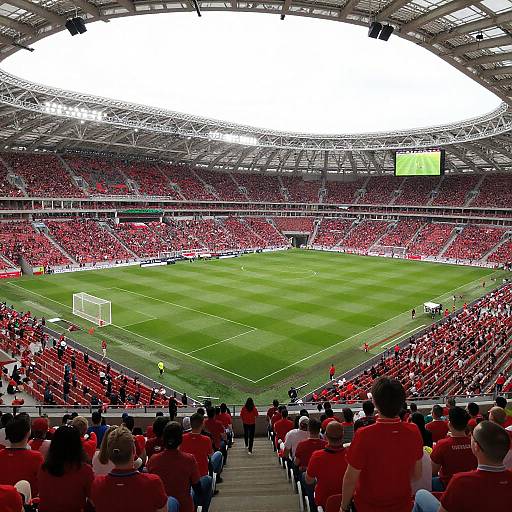 Luzhniki Stadium Packed with Excited Fans