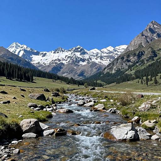 Photograph of a mountainous landscape featuring a clear, rocky stream flowing through a grassy valley, with snow-capped peaks and a vivid blue sky