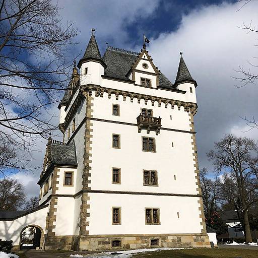 Historic Winter Castle Landscape
