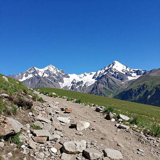 Photograph of a rocky mountain trail leading to snow-capped peaks under a vibrant blue sky, with green grass and small plants scattered along the path.