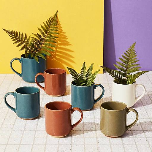 Photograph of six ceramic mugs in blue, red, brown, and white, each with fern plants, against a yellow and purple background.