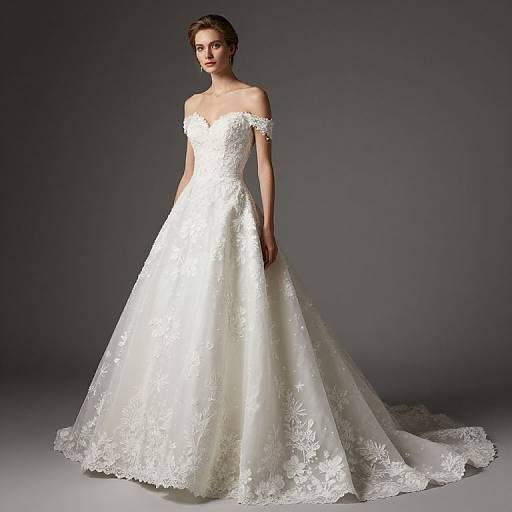 Elegant Demetrios Bridal Gown