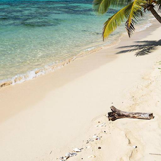 Top View Serene Tropical Beach
