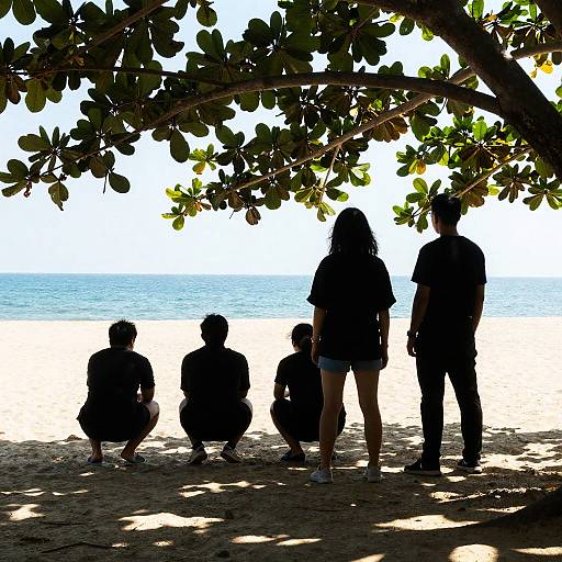 Shadows and Sunlight at the Beach