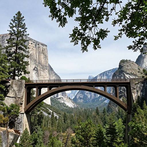 Photograph of a rusty steel arch bridge spanning a dense forest with towering, rocky mountains in the background under a clear sky.