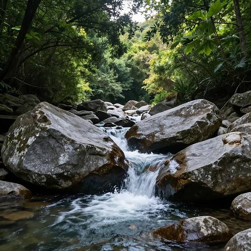 Serene Forest Waterfall Scene
