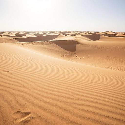 Photograph of a sunlit desert with rippled sand dunes, casting long shadows, and a bright, clear blue sky overhead.