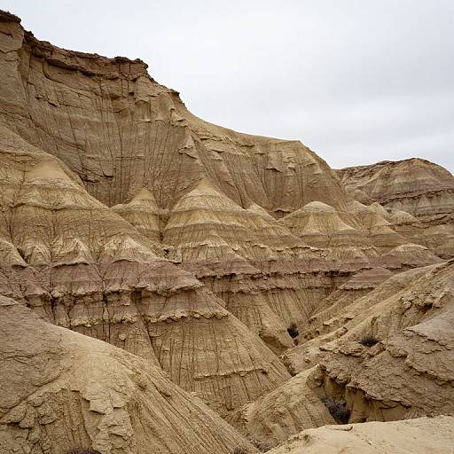 Photo Realistic Mudrock Cliffscape