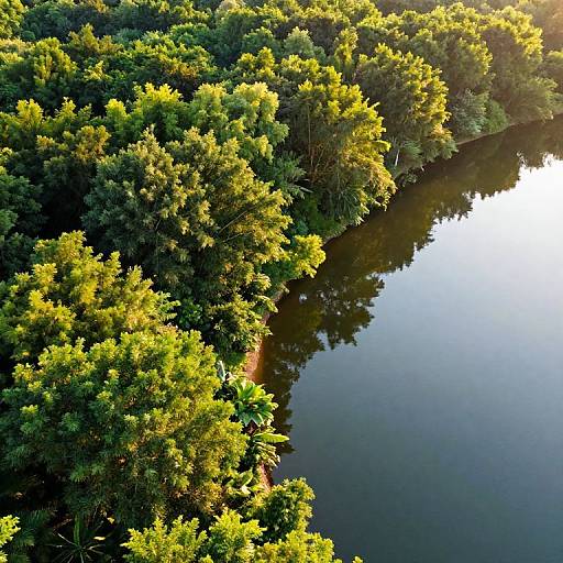7:3 Balanced Forest and Lake Landscape